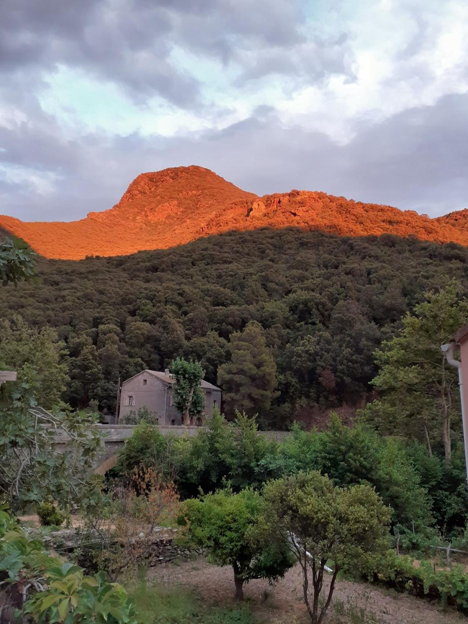 Cap Corse - Maison A 500M De La Plage Grillasca Dış mekan fotoğraf