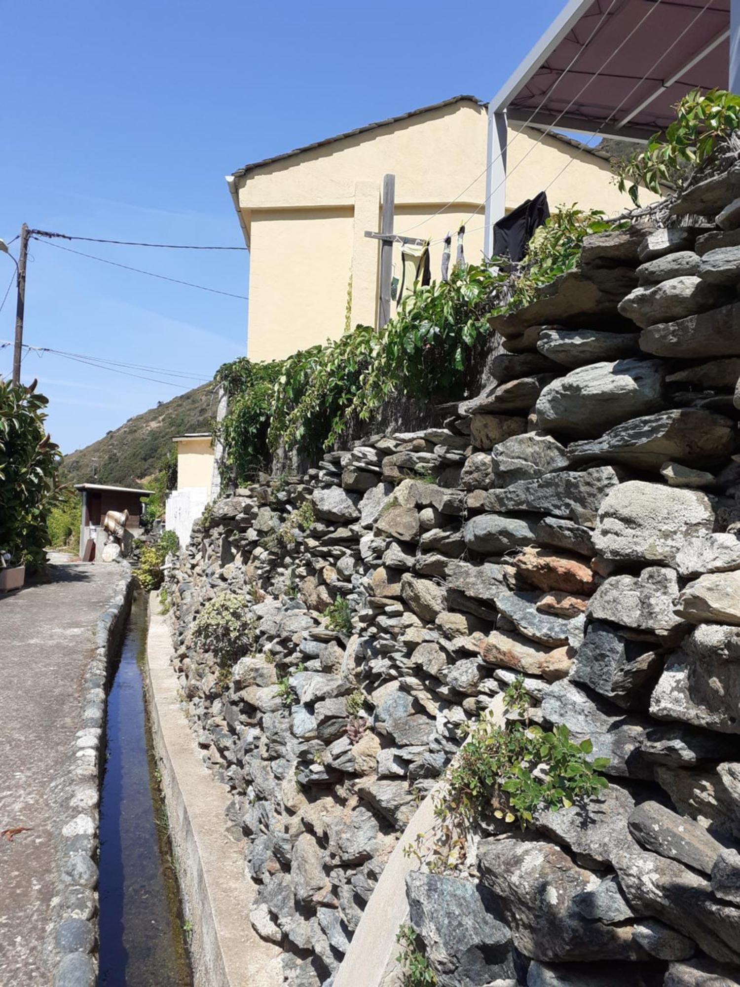 Cap Corse - Maison A 500M De La Plage Grillasca Dış mekan fotoğraf